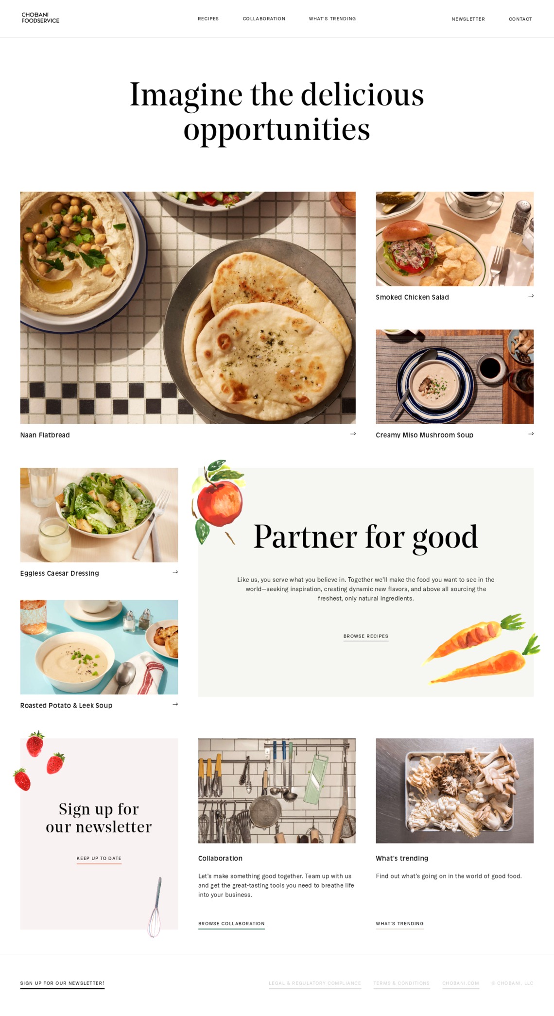 Photo of visual design principles